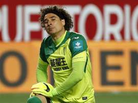 Ochoa associado ao emblema brasileiro. EFE