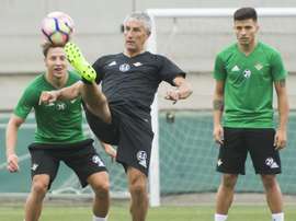 Pedro estará a las órdenes de Setién. EFE