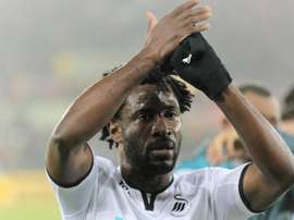 Tanto Bony como Fer tendrán que pasar por el quirófano. EFE