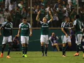 Deportivo Cali llegó a un acuerdo con el KAA Gent por Jhon Lucumi. EFE/Archivo