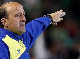 Lotina, nuevo técnico del Cerezo Osaka. EFE