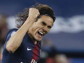 Cavani a fait une année 2018 incroyable. EFE