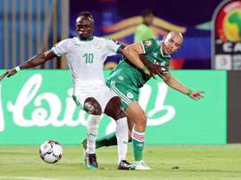 Les compos probables de la finale de la CAN entre le Sénégal et l'Algérie. EFE