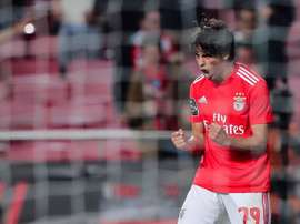 Joao Félix doit un dîner à ses anciens partenaires à Benfica. EFE/Archivo