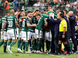 Palmeiras y Flamengo dominan los ingresos en el fútbol brasileño. EFE