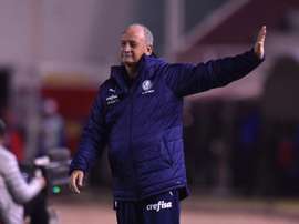 Colo Colo quer saber quando pode contar com Luiz Felipe Scolari. EFE/José Sotomayor
