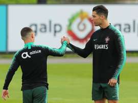 Fernando Santos dice que Cristiano es un profesional. EFE