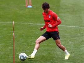 Grimaldo é só elogios a João Félix. EFE