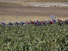 El Ayuntamiento de Ejea de los Caballeros (Zaragoza) ha confirmado que el viernes 21 de agosto de 2020 la séptima etapa de la 75 Vuelta Ciclista a España tendrá su llegada en la villa aragonesa en una jornada en la que el pelotón partirá desde Soria. EFE/ Javier Lizón/Archivo
