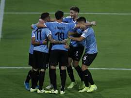 Muchos siguen a la 'Celeste' desde la base científica. EFE