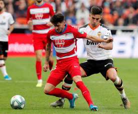 Last News D Ceballos Arsenal Besoccer