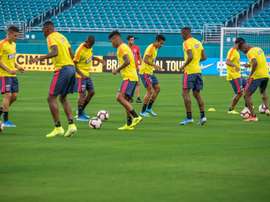 Colombia tenía previsto jugar con México en Estados Unidos. EFE/Archivo