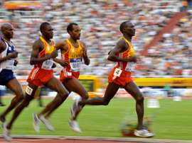 De derecha a izquierda, los africanos Moses Ndiema Kipsiro,Tariku Bekele y Vincent Kipsegechi Yator y el estadounidense Bernard Lagat compiten en la prueba de los 3.000en Split (Croacia) en 2010. EFE/STR/Archivo