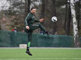 Ibrahimovic infortunato. EFE