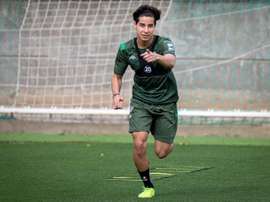 El Betis, obligado a dar una mejor versión. EFE