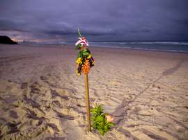 Imagen de una flor en la playa de Gold Coast (Australia) en recuerdo del australiano Alex Pullin. EFE/EPA/GLENN HUNT