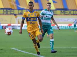 Tigres recupera el sabor de la victoria. EFE