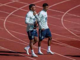 They play together. EFE