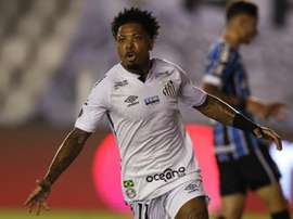Palmeiras y Santos se miden en la final de la Libertadores. EFE