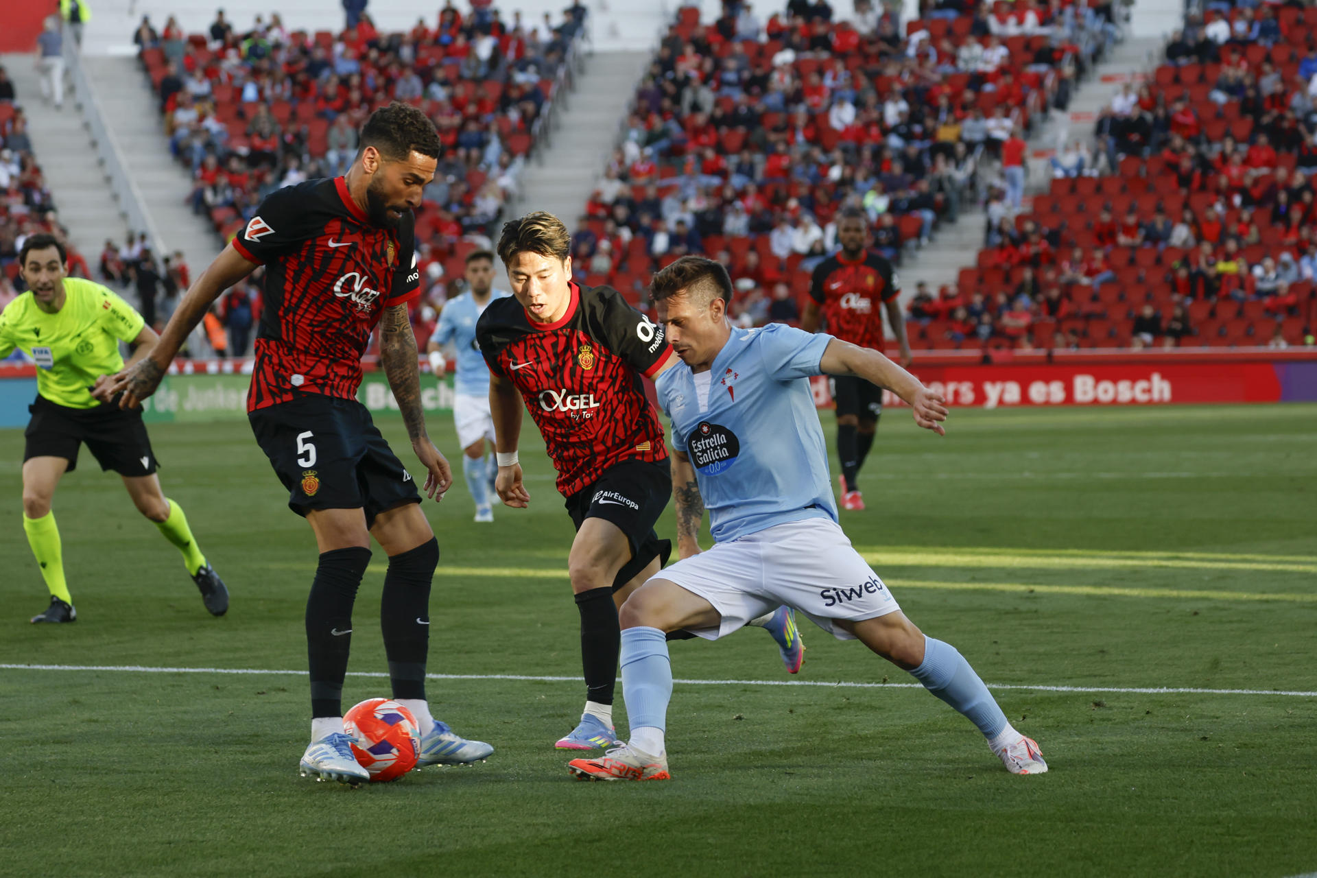 Alfon está demasiado despierto para un Mallorca dormido