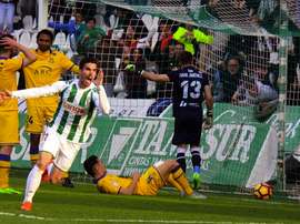 Alejandro Alfaro intentará resarcirse ante su hermano. CordobaCF