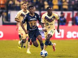 Unos tienen a Viñas y otros están en la parra. ClubAmerica