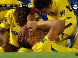 Jara desató la locura en las gradas de La Bombonera. Captura/TNTSports