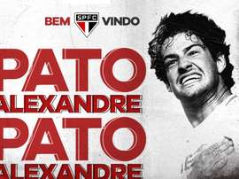 Pato de retour au Brésil. SaoPaulo
