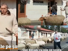 'Gigi' Becali colapsó el tráfico en Pipera. Collage/ObservadorTV