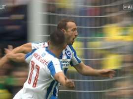 Glenn Murray scored three in Brighton's 5-0 win over Norwich. DUGOUT