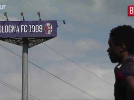 Il Bologna torna in campo. Dugout