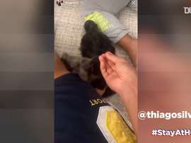 Les stories du jour avec Thiago Silva et Sarabia. DUGOUT