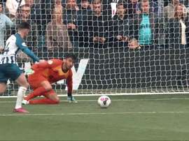 TOP buts Brighton vs Tottenham. DUGOUT