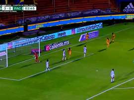 Tigres Femenil, en semifinales. DUGOUT