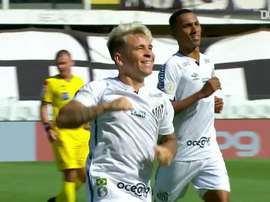 Santos beat Botafogo 2-1 in the Brasileirao. DUGOUT