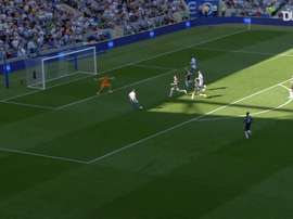 Glenn Murray has scored some important goals for Brighton. DUGOUT