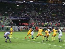 Il primo gol di Felipe Melo con il Palmeiras. Dugout