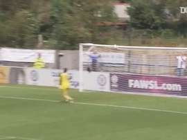They've scored some screamers! DUGOUT
