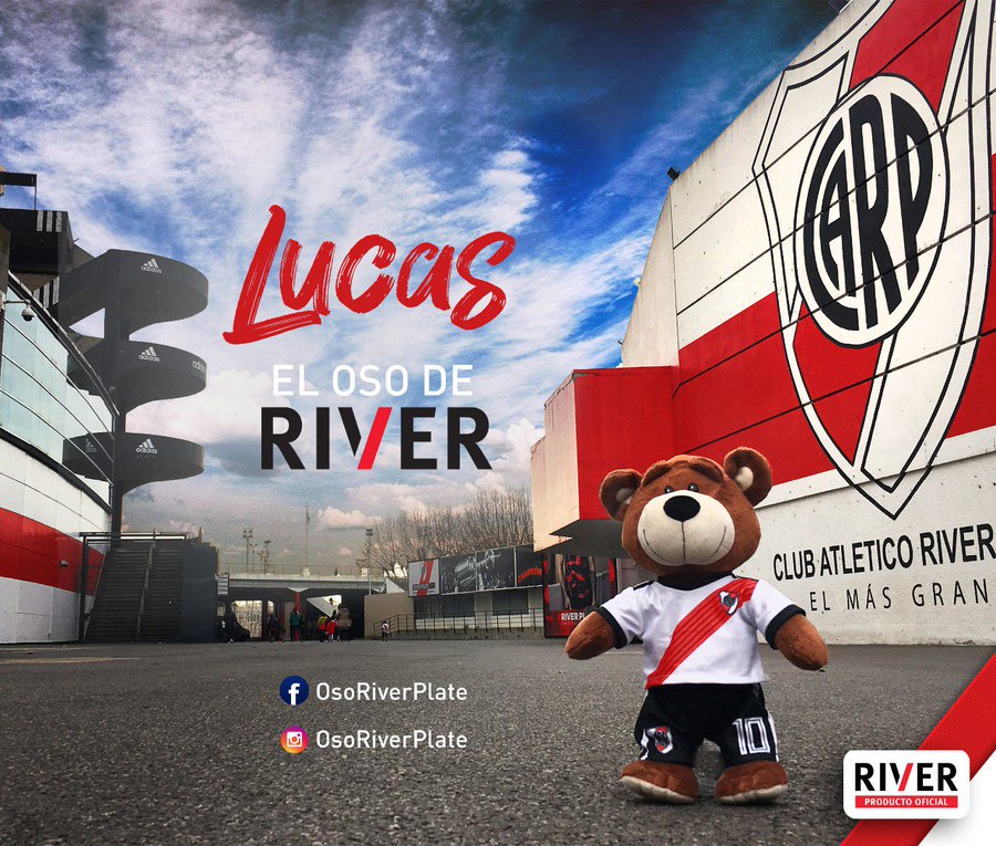 oso de peluche de river