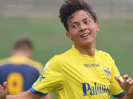 Vignato a plusieurs prétendants. ChievoVerona
