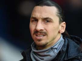 Calciomercato Bologna, Sabatini: 'Ibrahimovic non verrà'. Goal