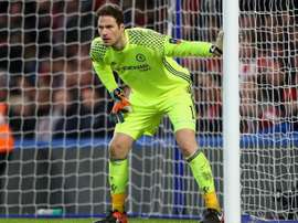 asmir begovic - cropped