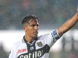 Bruno Alves rinnova con il Parma fino al 2020: ora è ufficiale. Goal