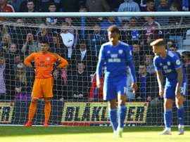 Il Cardiff retrocede. Goal