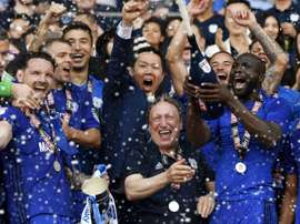 Cardiff City secure their spot in the Premier League. GOAL