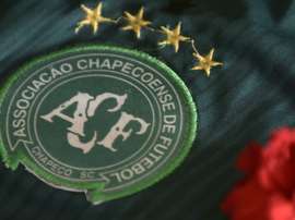 Torino will wear green shirts when they play Atalanta in Serie A on Saturday. AFP