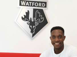 Welbeck giocherà nel Watford. Goal