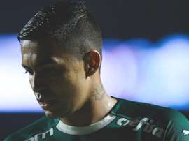 Por que Dudu não participa de decisão por pênaltis no Palmeiras?