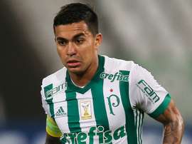 Dudu deve permanecer no Palmeiras. Goal