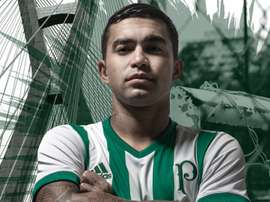 Cuca tem problema para resolver. Goal